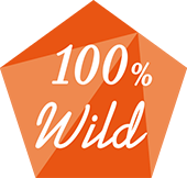 100%Wild
