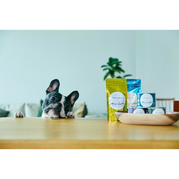 ウェットフード 3缶セット 有機｜無添加ドッグフード｜プレイアーデン公式