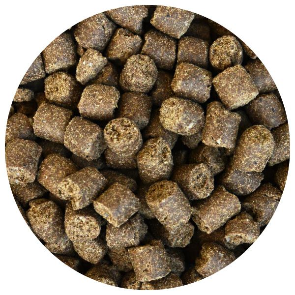 プレミアムケア 3kg｜無添加ドッグフード定期購入｜プレイアーデン公式