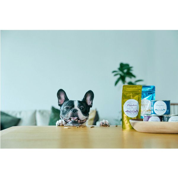 プレミアムケア 3kg｜無添加ドッグフード定期購入｜プレイアーデン公式